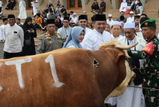 5 Pantangan bagi Orang yang Berkurban Idul Adha 2026, Muslim Wajib Tahu!