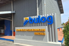 Bulog Berau Ingatkan Bahaya Gula Putih Rafinasi: Banyak Campurannya