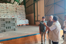 Stok Beras Samarinda Jelang Nataru dan Lebaran Dipastikan Aman, Harga Masih Stabil