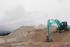 Ekspansi Tambang Silika Ancam Ekosistem Penting, Jatam Kaltim Desak Audit Perizinan