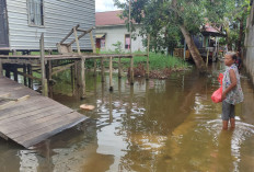 Waspada Potensi Musim Hujan dan Banjir, BPBD Samarinda Mulai Lakukan Langkah Ini