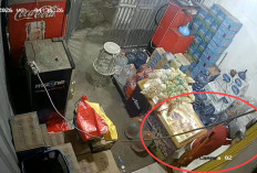 Identitas Terlacak, Satu Pembobol Toko di MT Haryono Balikpapan Terciduk, Satu Masih Buron