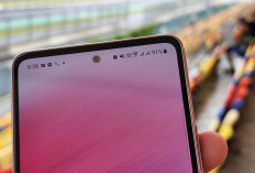 Internet 5G Mulai Masuk Berau, Diskominfo Dorong Provider Perluas Jangkauan