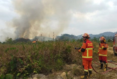 Karhutla Tak Kunjung Berakhir, Samarinda Ajukan Perpanjangan Status Tanggap Darurat Ketiga