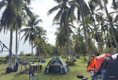 Pantai Tanpa Laut di Jempang, Pesona Unik Pulau Kelapa
