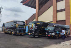 Beredar Isu Disporapar Paser Beli Bus Bekas Senilai Rp4,4 Miliar, Ternyata Pelat yang Dipasang Bukan Asli