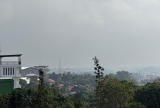 Kabut Asap Kembali Selimuti Balikpapan, BMKG Sebut Paser dan Kukar Jadi Dugaan Sumber Api