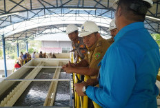 Lepas Dahaga Warga Sepaku, IPA Baja Resmi Suplai 50 LPS Air Bersih