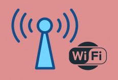 Layanan Akses Internet Publik Masih Jadi Bagian dari Prioritas Pemerintah Daerah Berau