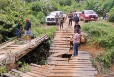Tim Gabungan Terkendala Akses Saat Pengecekan Ulang Illegal Logging di Hutan Desa Besiq