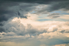 Ramalan Cuaca Kaltim dan IKN, 20 April 2026, Cek di Sini!