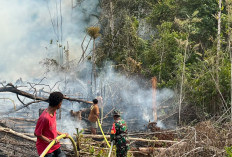 Pemkab Paser Siapkan Rp 5 Miliar untuk Tanggap Darurat Kemarau dan Karhutla 