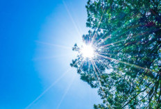 Ramalan Cuaca Kaltim dan IKN, 25 April 2026, Cek di Sini!