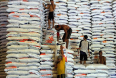 Stok Beras Nasional 4,4 Juta Ton, Bulog akan Bangun 100 Gudang Baru