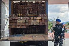 Pengiriman Kayu Ulin Ilegal Digagalkan di Pelabuhan Semayang Balikpapan, Modus Gunakan Dokumen Palsu