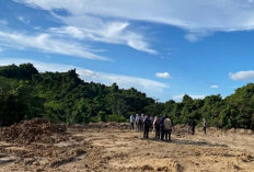 Rehabilitasi DAS Jadi Fokus Dinas Kehutanan Kaltim, Tutupan Lahan Ditargetkan Tembus 542 Ribu Hektare