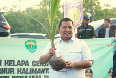 PPU Bidik Kelapa Genjah Sebagai Komoditas Ekonomi Baru 