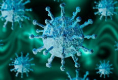 Kasus Flu Burung pada Mamalia Ditemukan di Australia