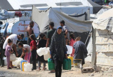 Sejak Oktober 2023, 50.000 Perempuan di Gaza Tewas dan Terluka