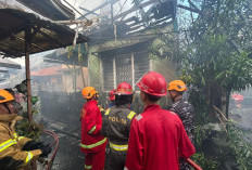 Rentetan Kebakaran dalam Sepekan di Balikpapan, BMKG Tegaskan Suhu Panas Bukan Penyebab Langsung