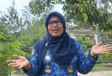 Sangatta Utara Hingga Kini Belum Seluruhnya Terlayani Listrik dan Air Bersih