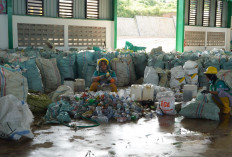 Hadapi Puluhan Ton Sampah Per Hari, DLH Paser Siapkan 2 TPST untuk Memilah 