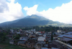 Mengenal Desa BRILian Sumowono, Desa Sayur yang Tumbuh dan Terus Berinovasi Bersama BRI