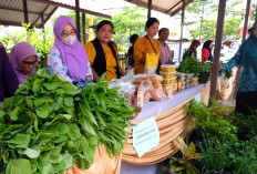Diskoperindag Berau Ubah Skema Pasar Murah, Kini Berdasarkan Permintaan Kampung