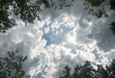 Ramalan Cuaca Kaltim dan IKN, 19 Januari 2026, Cek di Sini!