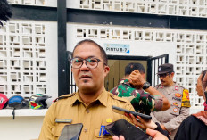 Harga Beras Premium Tembus Rp15.400 per Kilogram, Disdag Balikpapan Soroti Kenaikan 12 Persen