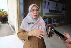 Berau Dapat Bantuan Bibit Kakao dan Kelapa 200 Hektare, Disbun Mulai Jaring Petani