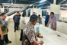 Peresmian Pasar Pagi Tunggu Finalisasi Sistem Digital, Andi Harun Punya Alasan