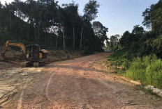 Bantu Buka Akses Warga, PT Berau Coal Bangun Jalan Usaha Tani di Kampung Gurimbang