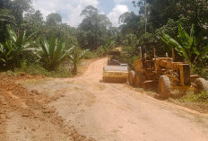 Akses Darat Sudah Dibuka, Distribusi Pangan Menuju Long Apari Mulai Lancar 