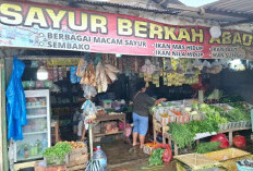 Jelang Nataru, Harga Pangan di Kubar Merangkak Naik