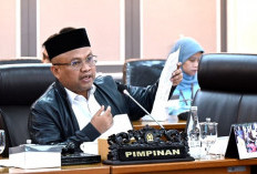 Gerindra Peringatkan Hotman soal Kasus Febrie: Jangan Dikaitkan dengan Presiden!