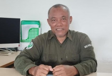 Disengat Ubur-Ubur Saat Berlibur di Pantai? Lakukan Hal Ini Segera!