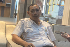 1.032 Pekebun di Paser Ditanggung BPJS Ketenagakerjaan dari DBH Sawit 