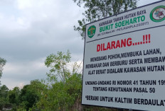 Karhutla Berulang hingga 1.511 Hektare, Kemenhut Sanksi 6 Perusahaan di Kalimantan