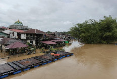 Waspada Tenggelam karena Banjir, BPBD Kutim Siaga Pantau Kawasan Bantaran Sungai