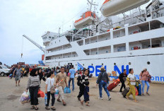 PELNI Balikpapan Sediakan 400 Kuota Mudik Gratis Rute Balikpapan–Surabaya, Ludes dalam 1,5 Jam