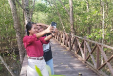 Pokdarwis Tanjung Berseri PPU Kantongi Hibah Rp140 Juta untuk Ekowisata Mangrove