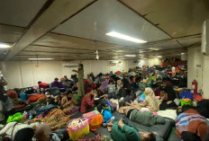 Ribuan Pemudik Padati Pelabuhan Samarinda Menjelang Arus Mudik Natal dan Tahun Baru