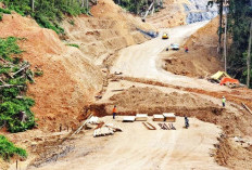 Jalan Perbatasan Kalimantan-Malaysia Sepanjang 2.300 Km Ditargetkan Tuntas 2028