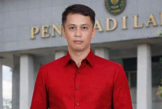 THM, Miras, dan Bayang-Bayang TPPO di Berau: Ketika Hukum Kehilangan Wibawa