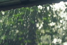 Ramalan Cuaca Kaltim dan IKN, 30 April 2026, Sejumlah Kawasan Diguyur Hujan!