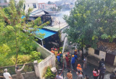 2 Kebakaran Melanda Balikpapan Kurang dari 24 jam, Pemadaman di Gunung Sari Ilir Terkendala Jalan Sempit