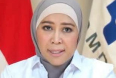 Meutya Hafid Bantah Kemkomdigi Batasi Konten Karhutla, Katanya Platform Digital Perlu Bertanggungjawab