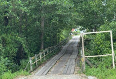 DPUTR Paser Bakal Tinjau Kondisi Jembatan Ulin Desa Pasir Mayang untuk Perbaikan