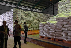 Pemkot Samarinda Pantau Harga Pangan Harian, Antisipasi Kenaikan Sebelum Stok Kosong